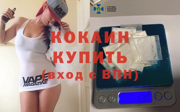 крисы Белокуриха