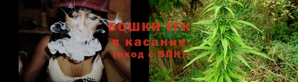 крисы Белокуриха