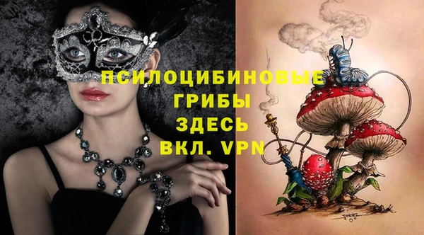 ECSTASY Сафоново