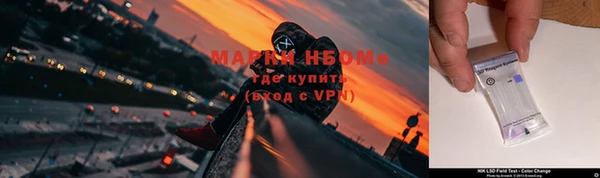 крисы Белокуриха