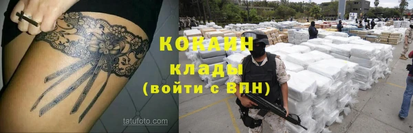 крисы Белокуриха