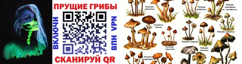 omg онион  Воскресенск  маркетплейс Telegram  Псилоцибиновые грибы ЛСД 